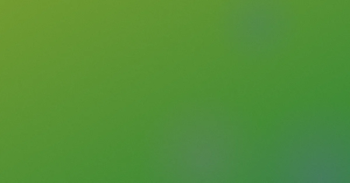 成人网片怎么用更安全